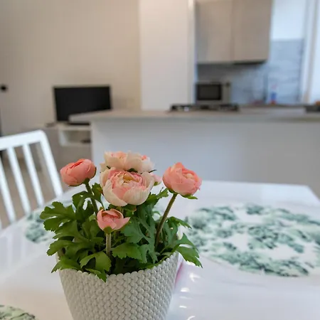 My M&y - Pala Alpitour/stadio Olimpico 토리노